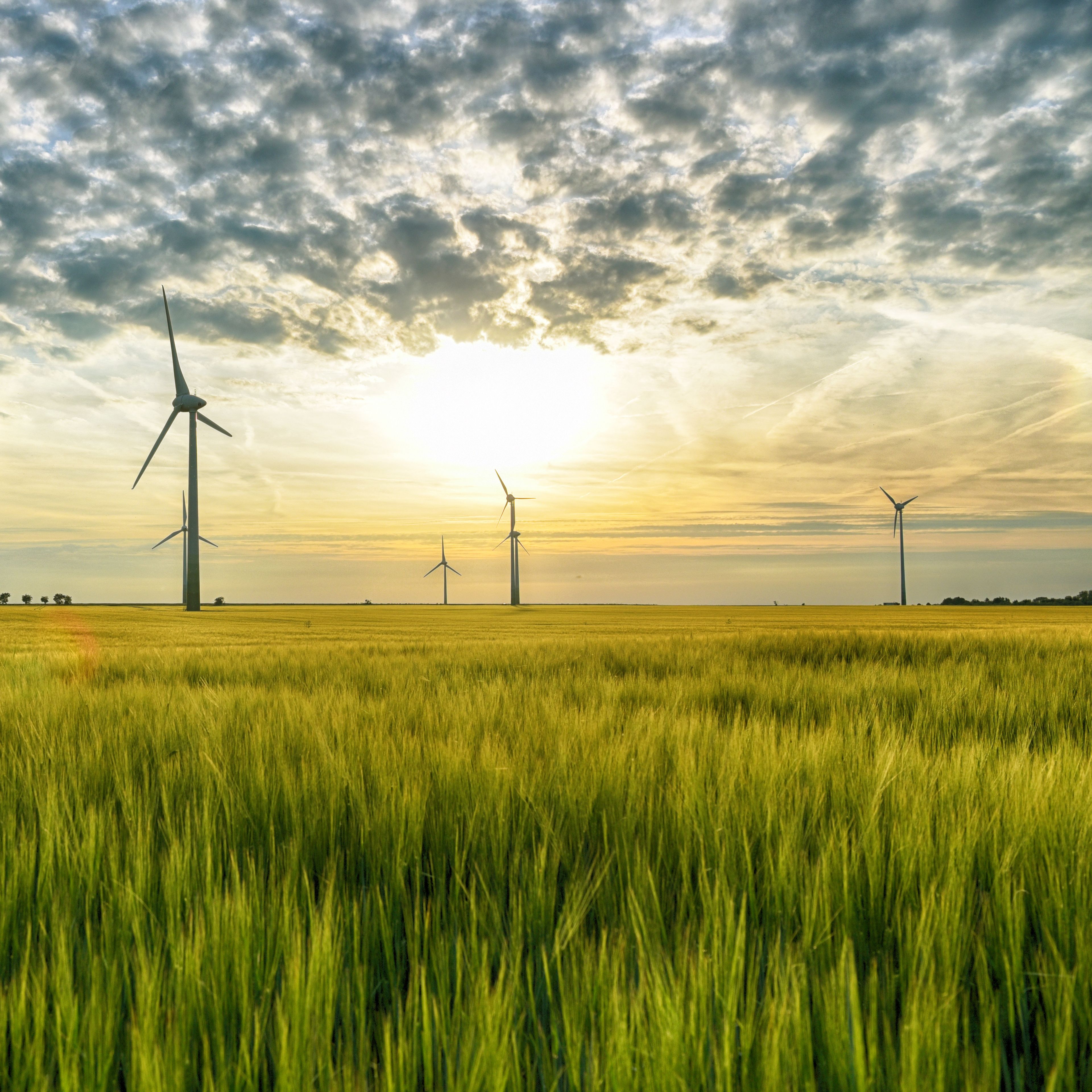 Cutting down operational emissions the ALDI way ALDI SOUTH Group